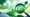 Call Options: Leverage Your Investment Potential